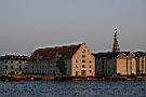 IMG_6893.JPG