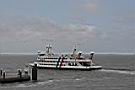 IMG_3769.JPG