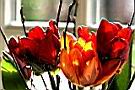 IMG_3919.JPG