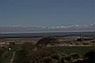 IMG_4025.JPG