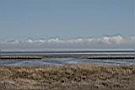 IMG_4037.JPG