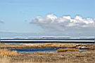 IMG_4039.JPG