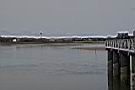 IMG_4495.JPG