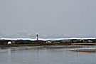 IMG_4496.JPG