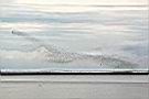 IMG_4621.JPG