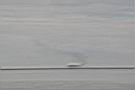 IMG_4623.JPG