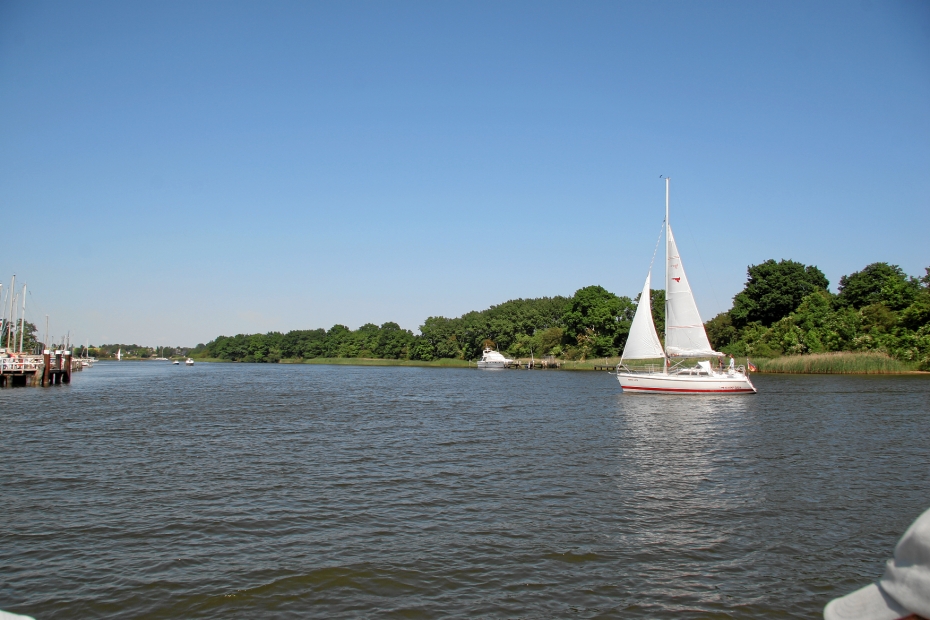 IMG19005.JPG