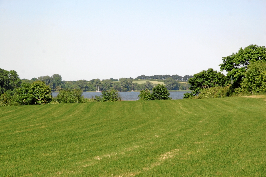 IMG19067.JPG