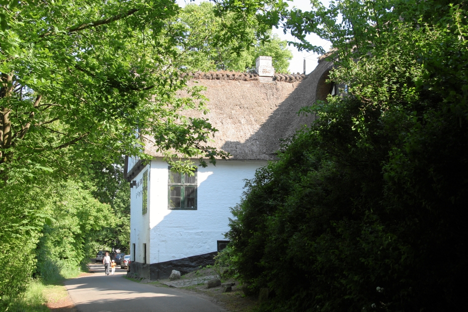 IMG19082.JPG