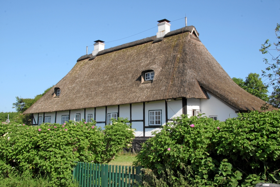 IMG19108.JPG