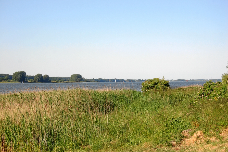 IMG19109.JPG