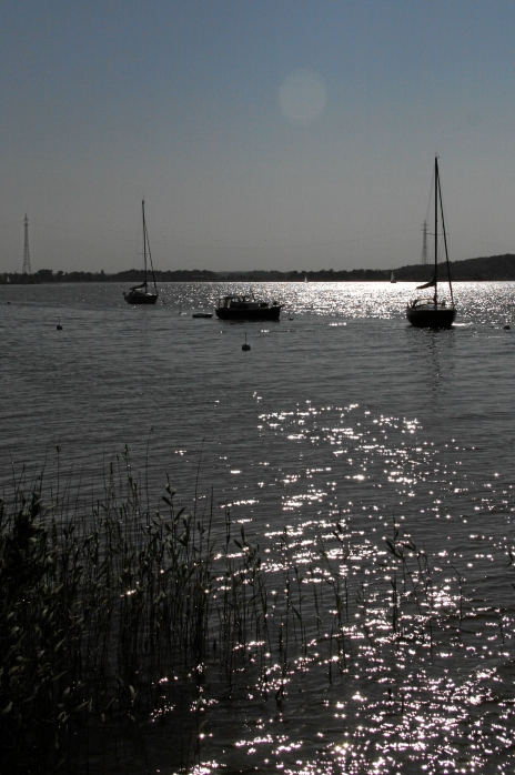 IMG19111.JPG