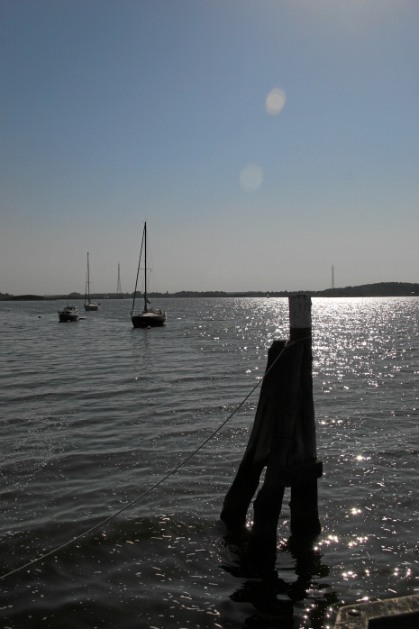 IMG19115.JPG