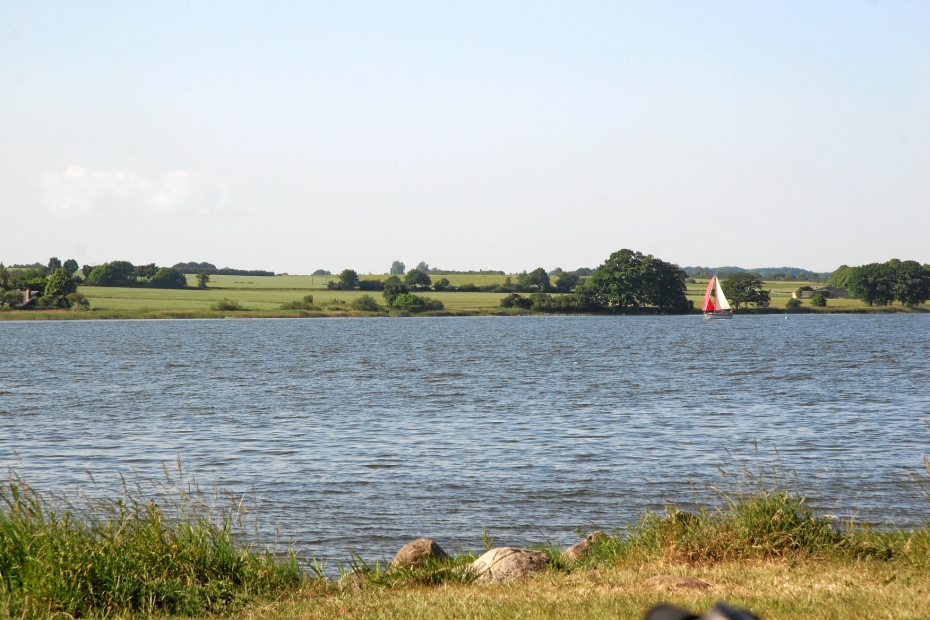 IMG19123.JPG