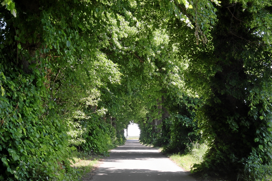 IMG19153.JPG