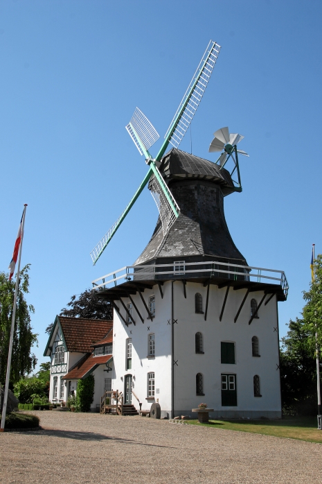 IMG19159.JPG