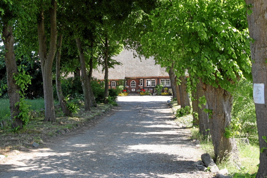 IMG19211.JPG - Der Holländerhof