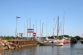 IMG19029