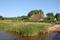 IMG19113
