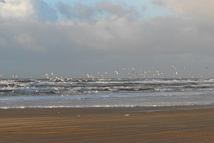 IMG16333.JPG