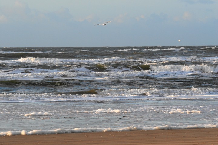 IMG16336.JPG