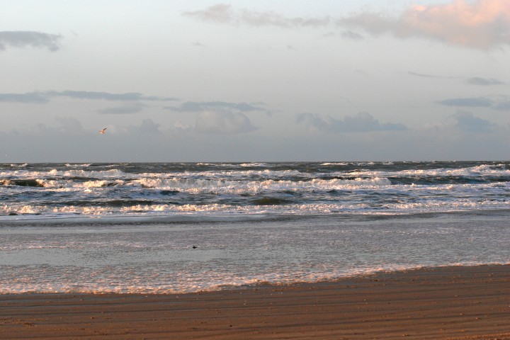 IMG16349.JPG