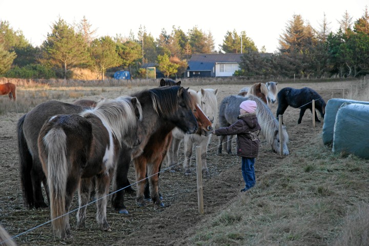 IMG16456.JPG