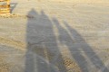 IMG16347