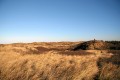 IMG16411