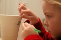 IMG16496