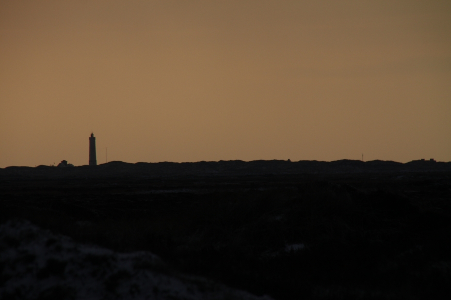IMG11047.JPG