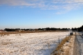 IMG10860