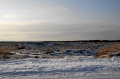 IMG10890