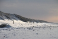 IMG10962