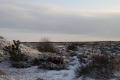 IMG11016