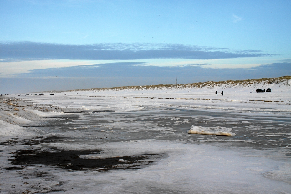 IMG15235.JPG