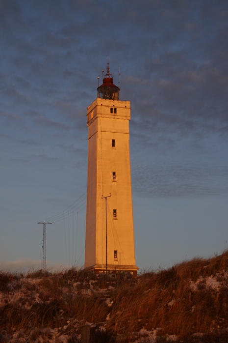 IMG15295.JPG
