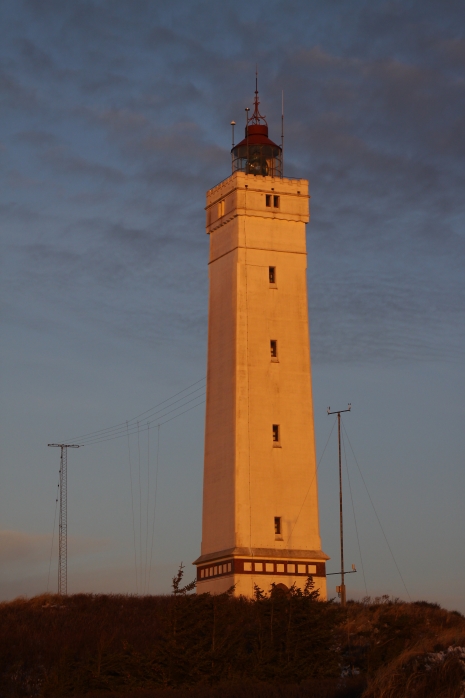 IMG15299.JPG
