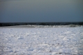 IMG15274