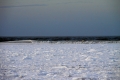 IMG15275