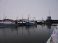 P1040134