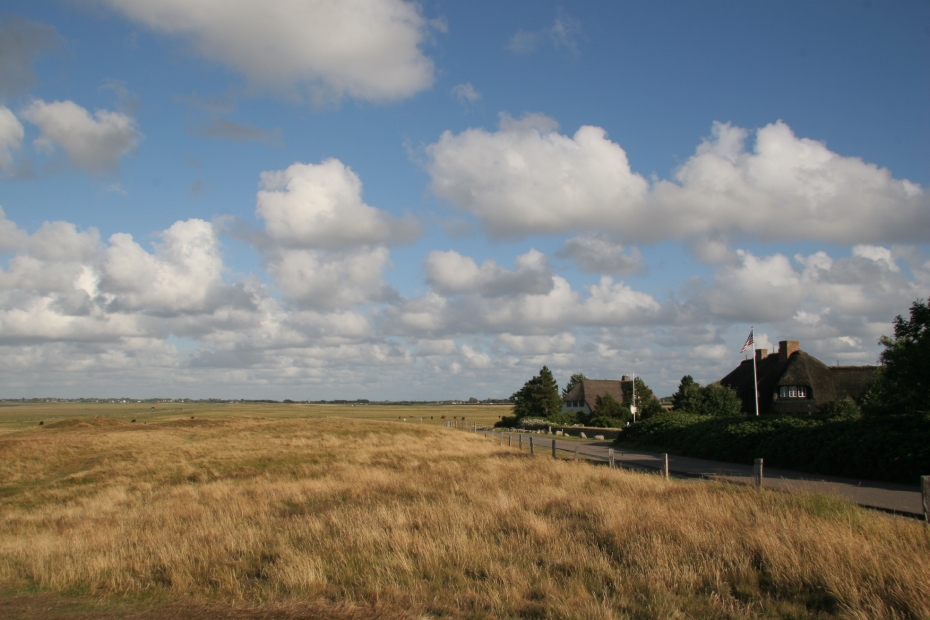 IMG19731.JPG