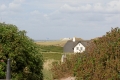 IMG19764