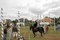 IMG19769