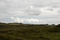 IMG20380